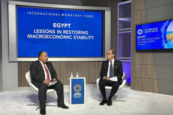 المالية: نتطلع أن يستحوذ القطاع الخاص على أكثر من 70% من حجم الاقتصاد المصري