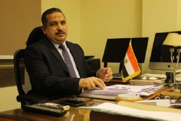 الشافعي: ارتفاع الاستثمارات الأجنبية المباشرة دليل على تقدم مصر اقتصاديا