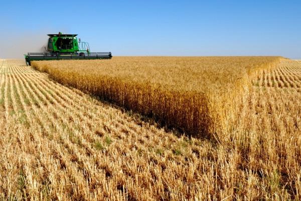 السودان يتسلم الشحنة الرابعة من منحة القمح الأمريكية