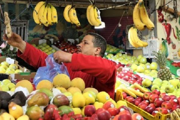 الزراعة : فتح 3 أسواق جديدة أمام صادرات الموالح المصرية
