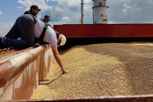 روسيا تستهدف تصدير 55 مليون طن من الحبوب سنويا