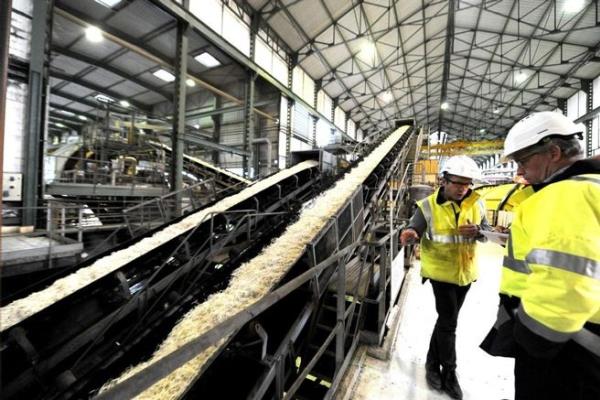 الصناعات التكاملية  تستهدف خفض استيراد السكر الخام إلى 300 ألف طن فى 2022
