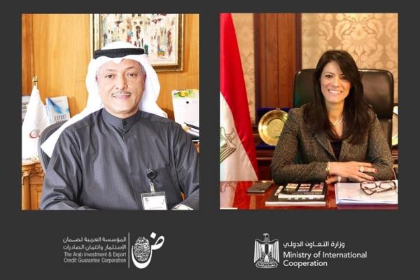 المشاط تبحث تعزيز التعاون المشترك مع المؤسسة العربية لضمان الاستثمار