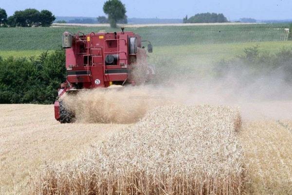 روسيا تفرض حظرا مؤقتا على صادرات الحبوب إلى دول الاتحاد الاقتصادي الأوراسي