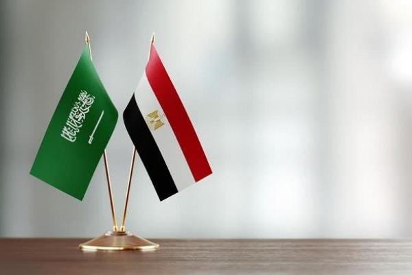 ارتفاع قيمة التبادل التجاري بين مصر والسعودية 62.1% في 2021
